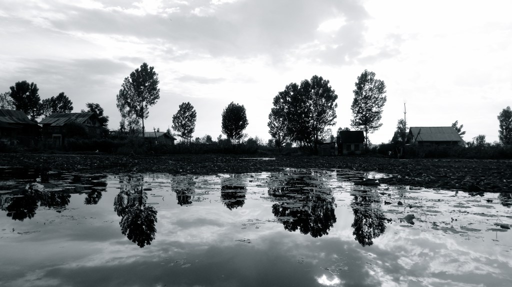 Dal Lake