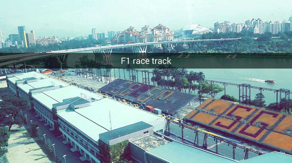 2014 Singapore Grand Prix - Formula One World Championship